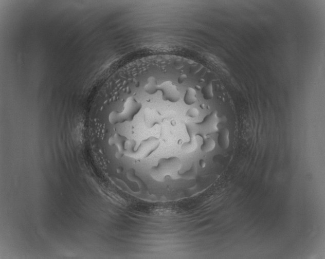 X0000062800596200512290250