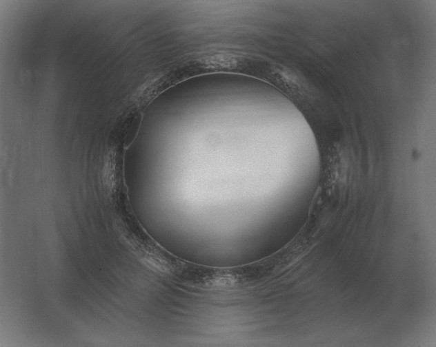 X0000062800600200512290250