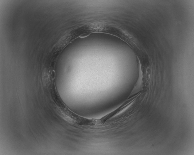X0000062800601200512290250