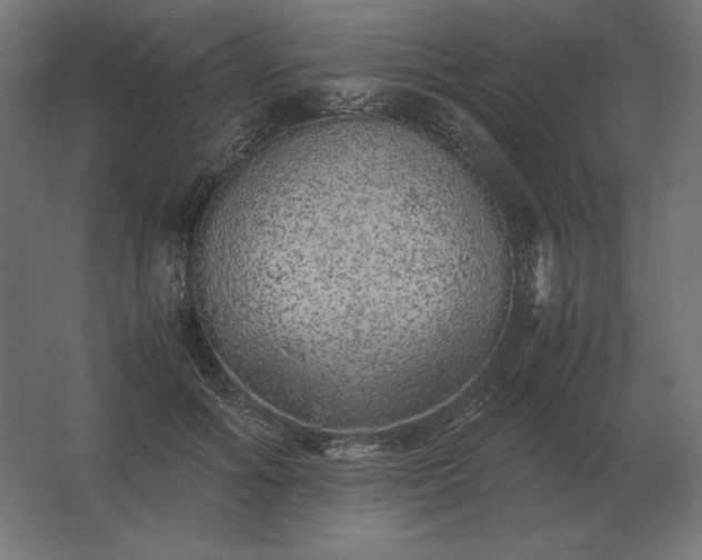 X0000062800602200512290250