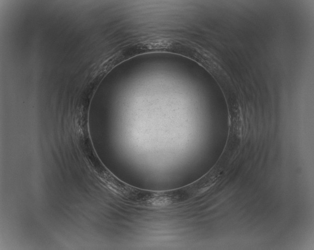 X0000062800604200512290250