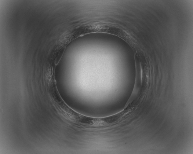 X0000062800605200512290250
