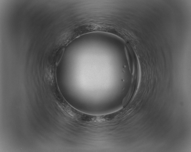 X0000062800607200512290250