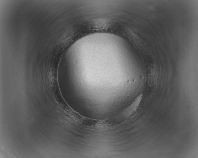X0000062800608200512290250