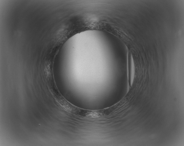 X0000062800611200512290250