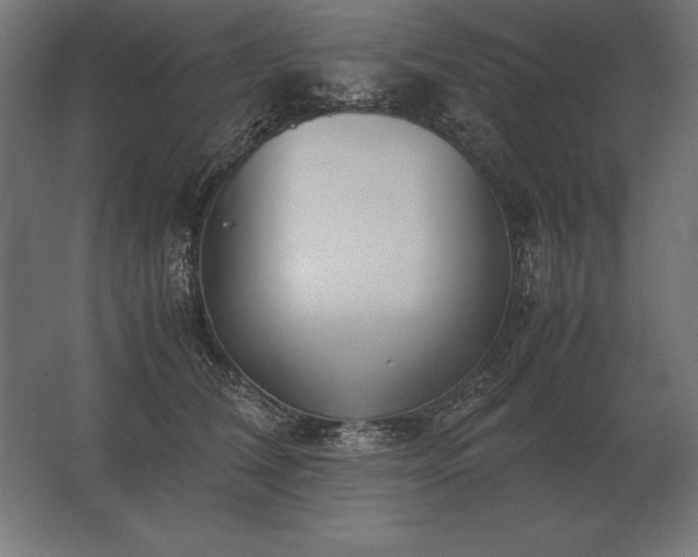 X0000062800612200512290250
