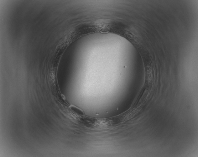 X0000062800613200512290250