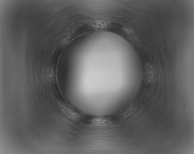 X0000062800614200512290250