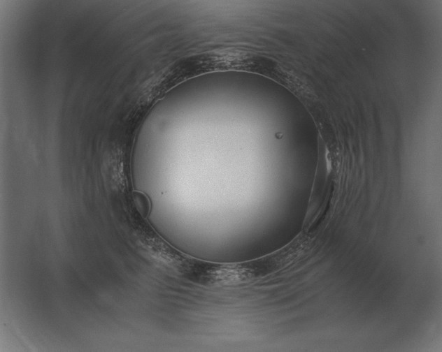 X0000062800615200512290250