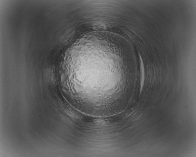 X0000062800616200512290250