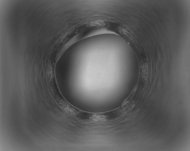 X0000062800617200512290250