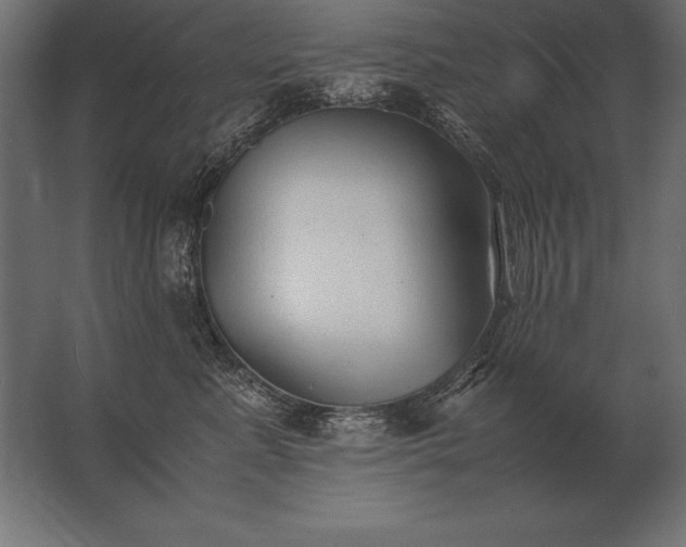 X0000062800619200512290250