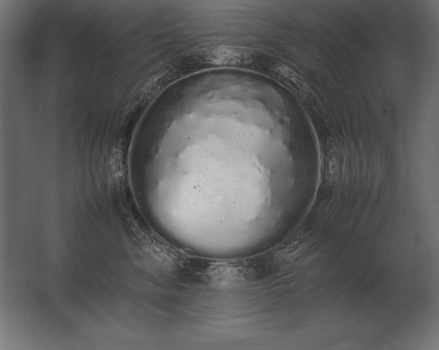X0000062800620200512290250