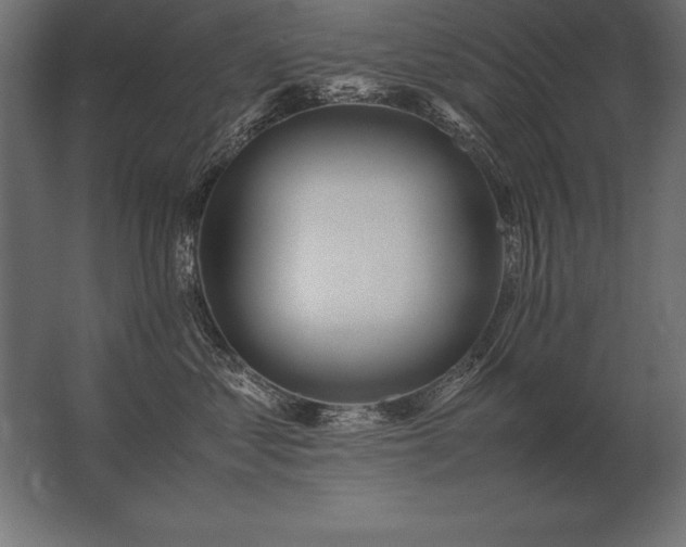 X0000062800621200512290250