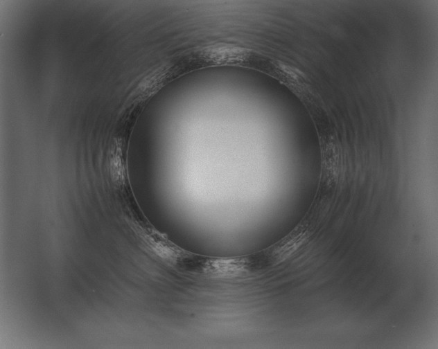 X0000062800622200512290250