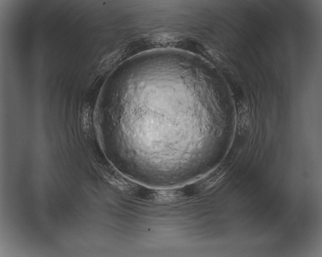 X0000062800623200512290250