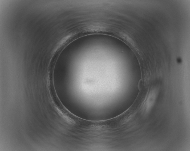 X0000062800629200512290249