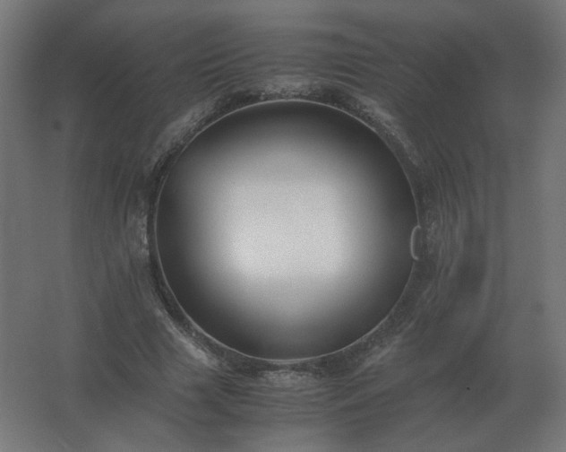 X0000062800633200512290249