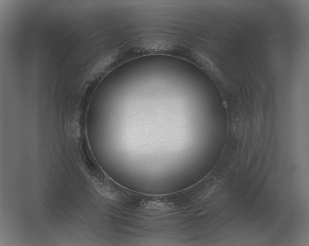 X0000062800635200512290249