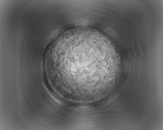 X0000062800638200512290249