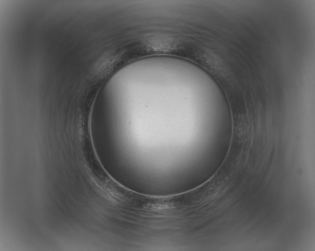 X0000062800639200512290249