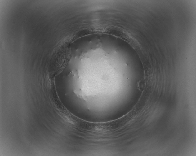 X0000062800641200512290249