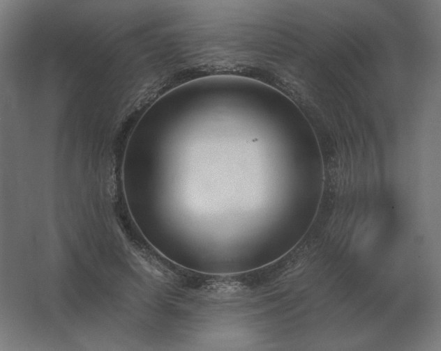 X0000062800642200512290249