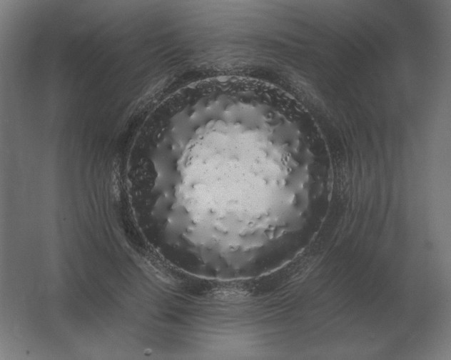 X0000062800644200512290249