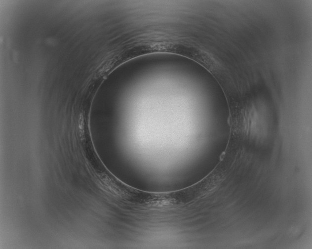 X0000062800646200512290249