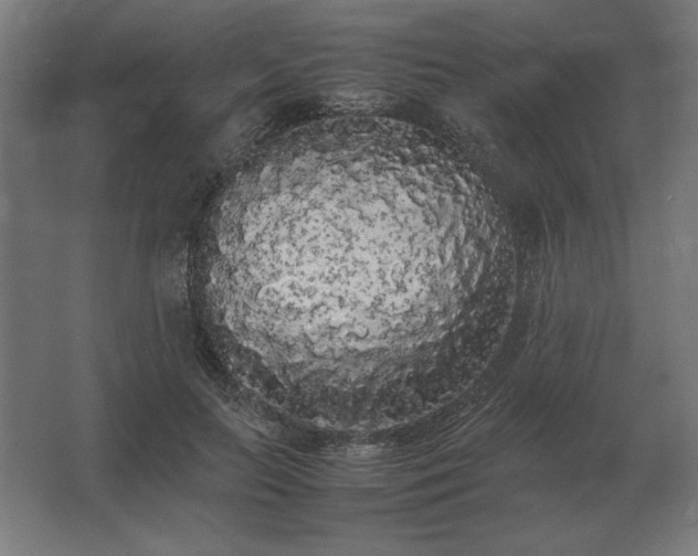 X0000062800647200512290249