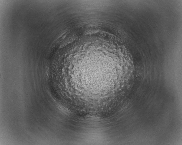 X0000062800648200512290249