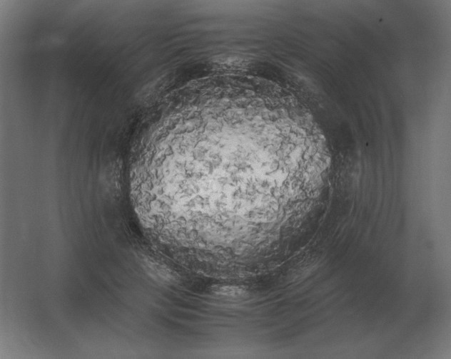 X0000062800649200512290250
