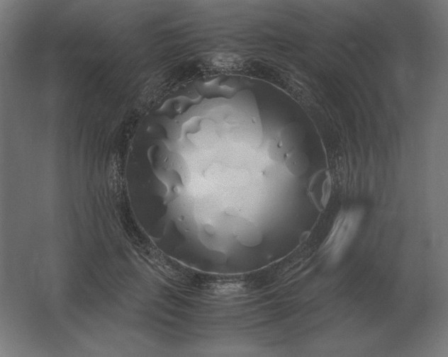 X0000062800651200512290250