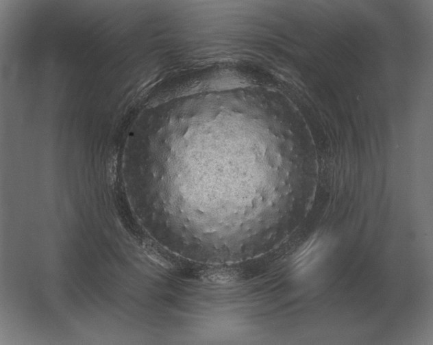 X0000062800652200512290250