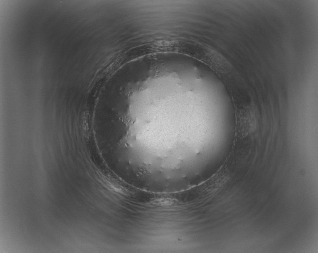 X0000062800654200512290250