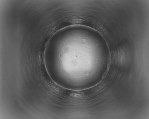X0000062800655200512290250