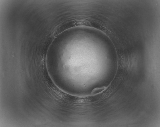X0000062800657200512290250