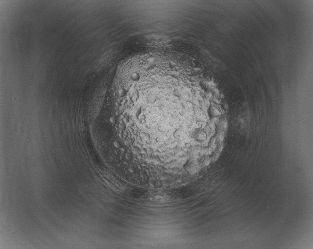 X0000062800658200512290250