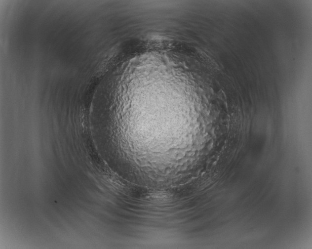 X0000062800659200512290250