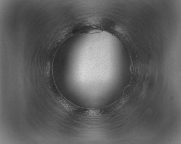X0000062800660200512290250