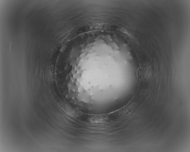 X0000062800661200512290250