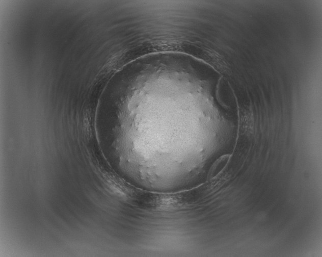 X0000062800662200512290250