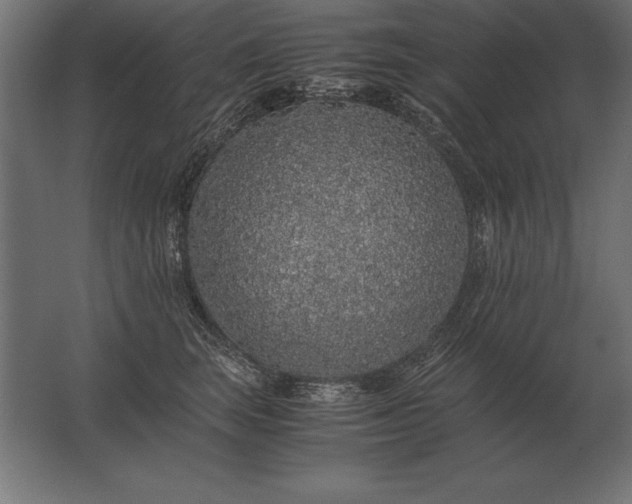 X0000062800663200512290250