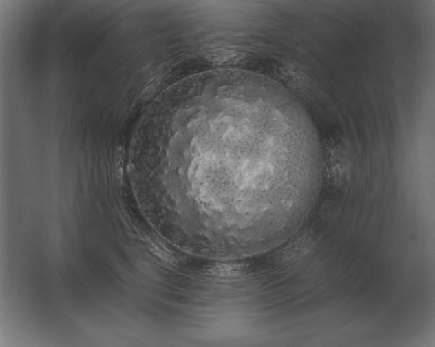 X0000062800664200512290250