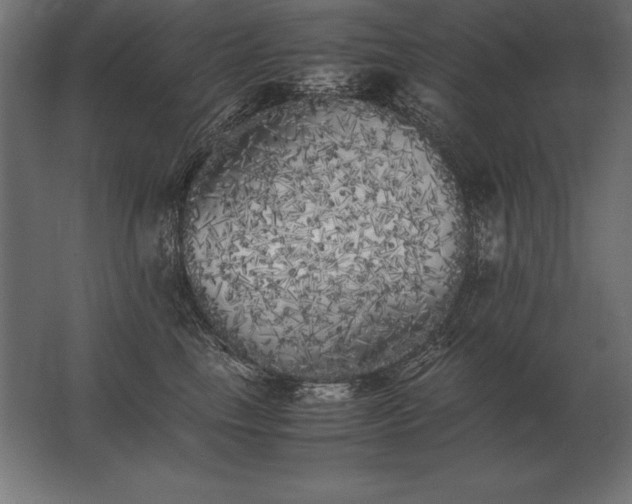 X0000062800665200512290250