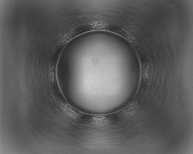 X0000062800666200512290250