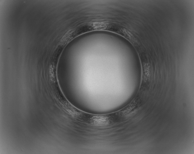 X0000062800667200512290250
