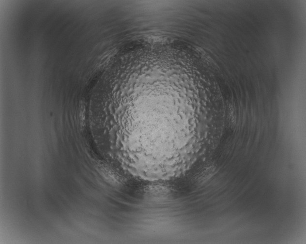 X0000062800668200512290250