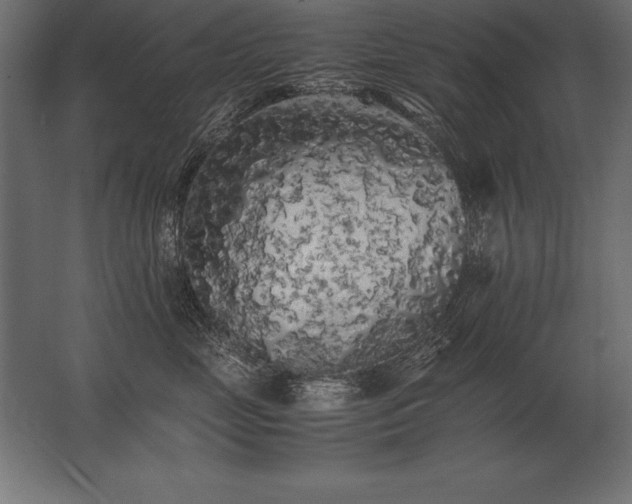 X0000062800669200512290250
