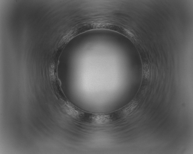X0000062800670200512290250